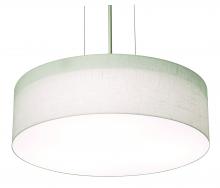 AFX Lighting, Inc. ANP1932LAJUDSN-LW - Anton 19'' LED Pendant - SN and LW