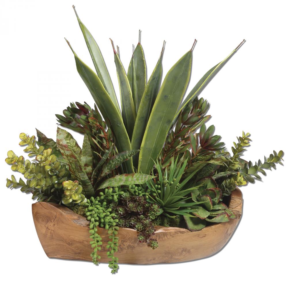 Uttermost Salar Succulents