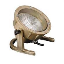 Focus Industries (Fii) SL-11-AB - Brass Underwater Light