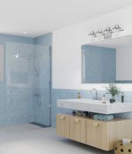 PROG_Transitional_Bathroom_P300437-009_3D_appshot.jpg