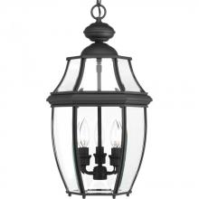 Progress P6533-31 - New Haven Collection Three-Light Hanging Lantern