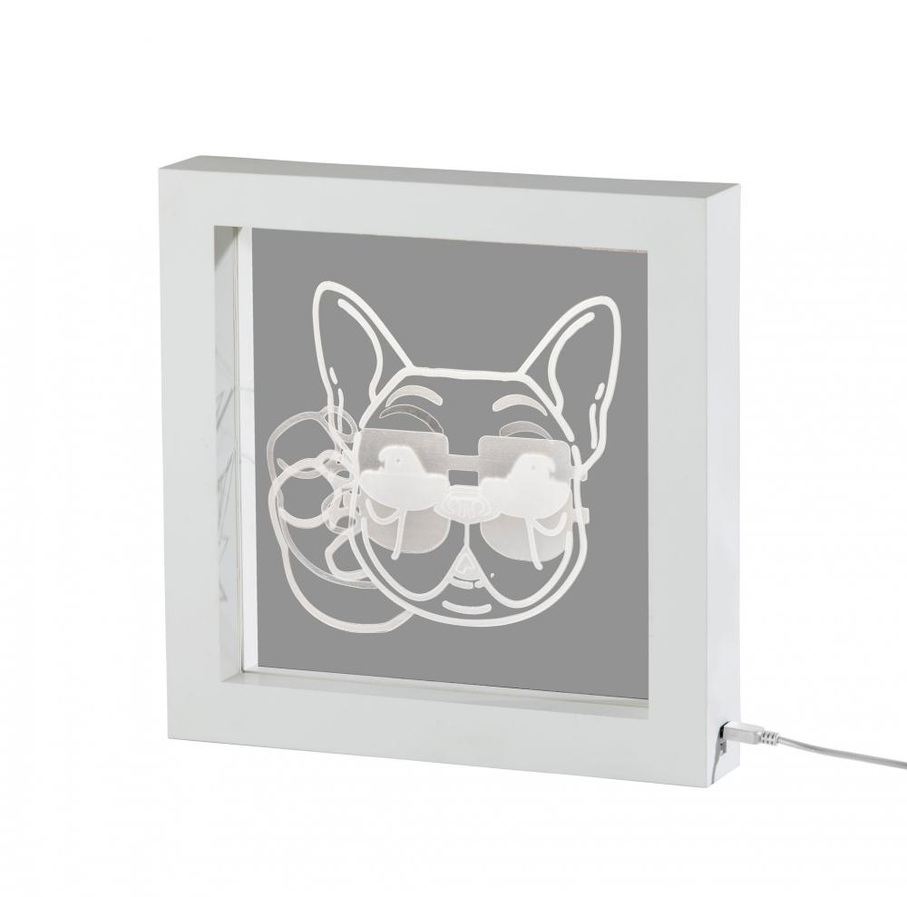 Cool Dog Video Light Box