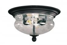 OUTDOOR FLUSH MOUNT