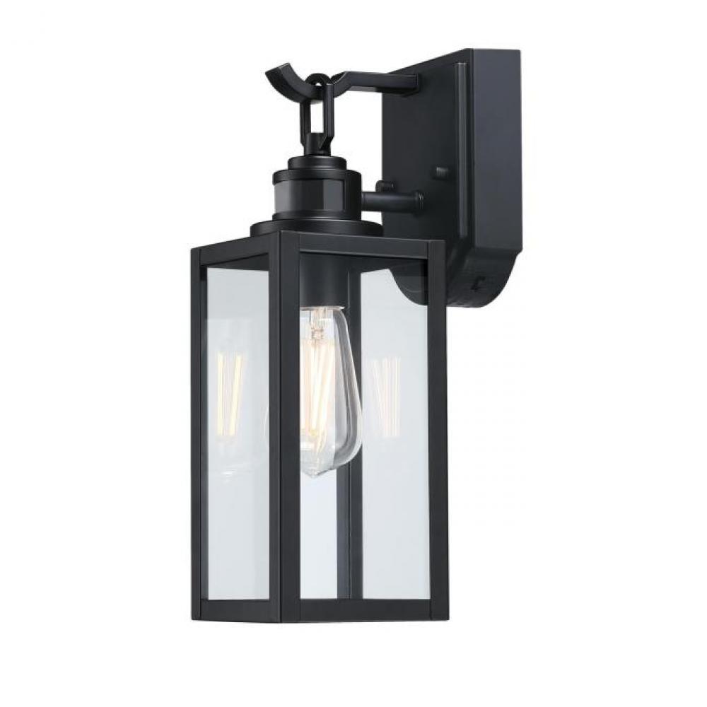 Wall Fixture Matte Black Finish Clear Glass