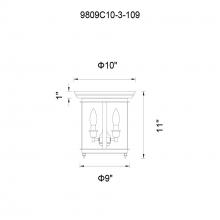 CWI-9809C10-3-109-31.jpg