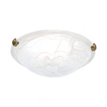 Ulextra C24-12 - Ceiling