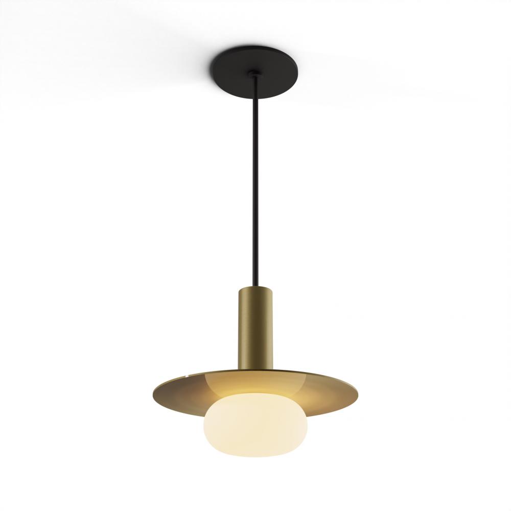 Combi Pendant 6" Single Unit Brass with Matte Black Canopy, 9" metal plate (Brass) attachmen