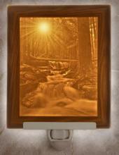 Porcelain Gardens N224 - FLAT NIGHT LIGHT