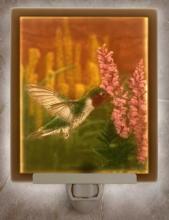 Porcelain Gardens NC131 - FLAT COLOR NIGHTLIGHT