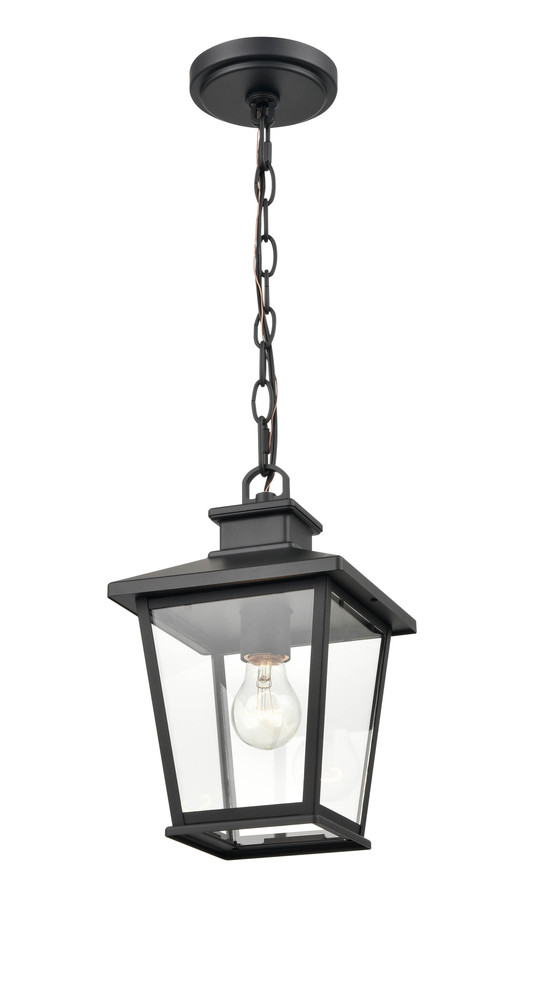 Bellmon 1-Light Outdoor Hanging Lantern Powder Coated Black