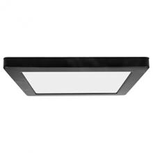 Access 20840LEDD-BL/ACR - Dual Voltage LED Flush Mount