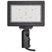 Nuvo 65/620R1 - LED Flood Light; 150 Watt; 5000K; Bronze Finish