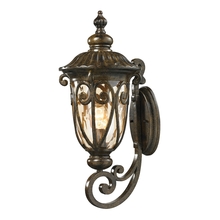 ELK Home 45071/1 - SCONCE